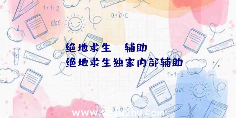 「绝地求生bh辅助cccpan」|绝地求生独家内部辅助